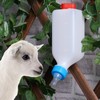 PKNYBZH Goat Feeding Bottles 800 ml Pet Feeder Bottle and