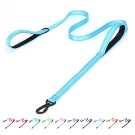 haoyueer Reflective Nylon Dog Leash - Heavy Duty Padded Two Handle Reflective Leash for Night Safety Training - Ideal for Small Medium Large Breed Pet Dogs (Light Blue, 5FT×1'')