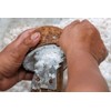 Dolphin Shop, Coconut Scraper Grater Stainless Steel Shredder Serrated Grinder
