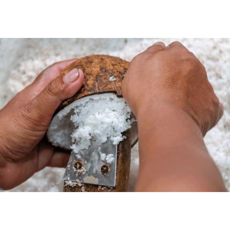 Dolphin Shop, Coconut Scraper Grater Stainless Steel Shredder Serrated Grinder