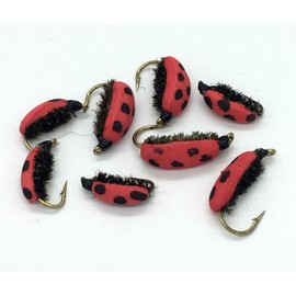 Fly Fishing LADYBIRD BEETLE LADY BIRD LADY BUG Set of 8 Flies Sizes 10 to 14#203