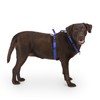 LufeLux Non Restrictive Large Dog Harness, Easy Walk Freedom No