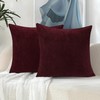 Jeneoo Burgundy Decorative Throw Pillow Covers Soft Chenille Comfy Square