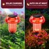 Solar Pathway Lights Outdoor 4 Pack, Red LED Driveway Light