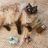 Kazoo Squinty Sheep Cat Toy