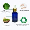 Ravintsara Essential Oil 30ml (Chemotype Cinnamomum Camphora) 100% Pure and