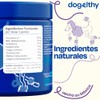 Dogelthy Mobility Suplemento Condroprotector en Polvo para Perro