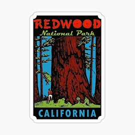 Redwood National Park California Vintage Travel Decal Sticker - Sticker Graphic - Auto, Wall, Laptop, Cell, Truck Sticker for Windows, Cars, Trucks