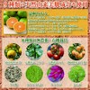 Mika Citrus Mandarin Raw Soap, 4.2 oz (120 g) (Face