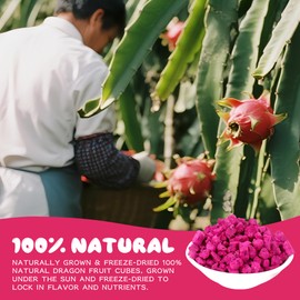 6oz Freeze Dried Dragon Fruit Pieces,170g Dragon Fruit Chunks for Smoothies, Baking, Yogurt, Breakfast & Pink Drink Topping | No Sugar Added, Vegan & Gluten-Free Superfood Snack