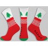 Country-Themed Socks Large, Shoe Size 9-12 (Lebanon)