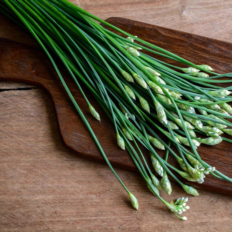 Eden Brothers Chives Seeds - Garlic