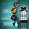 BoostLife Magnesium Bisglycinate 180 Capsules - 2445 mg Magnesium Bisglycinate