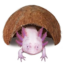 JOR Axolotl Cave, Coconut Shell Hideout and Resting Tunnel, Shelter for Pleco, Crabs, Fish, Turtles, Geckos, Tank Décor, 5” x 3”, 1 Pc Per Pack