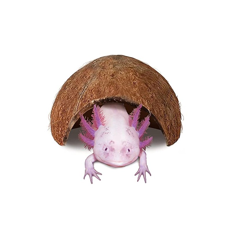 JOR Axolotl Cave, Coconut Shell Hideout and Resting Tunnel, Shelter