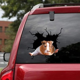 Cute Guinea Pig Car Decals, Wall Decals Stickers Realistic Car Stickers,SUV Window Glass Sticker Suitable for Cars, notebooks, refrigerators, Walls and Other Smooth Surfaces.
