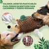 LEGEND SANDY - Juguetes Masticables y Juegos para Perros, Juguete