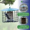 Backyard Essentials Squirrel Defeater Seed or Suet Log Cage Feeder