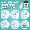 Bailey & Buddies Joint Care for Cats | Joint Supplement