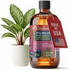 GARDENERA Premium Organic Seaweed & Kelp Superfood for AGLAONEMA Plants