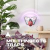 Flying Insect Trap Indoor, Light Fly Trap Captures Flies, Fruit