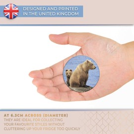 Destination Vinyl ltd Magnet for Refrigerator, Fridge - Cute Brown Bear Cub Mother for Office, Cabinet and Whiteboard, Magnetic Stickers, 14282