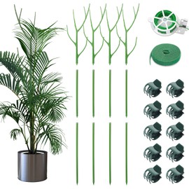 ROADPLUM 4 Pack 39.37" Detachable Twig Plant Support Stakes Set, Blends in to Plant, Branch Plant Sticks with Orchid Clips Twist Plant Ties, Twig Trellis for Indoor Outdoor Plants Potted Plants Flower