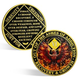 CHURYUML 6 Year NA Medallions Phoenix Recovery Chip Out of The Ashes of Addiction NA Sobriety Coin Narcotics Anonymous Gifts Sobriety Addiction Recovery Gifts Narcotics Anonymous Coin