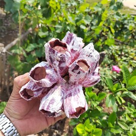 YZHZOM Large Purple Barnacles Clusters, Aquarium Decor with Purple Coral for Fish Tank