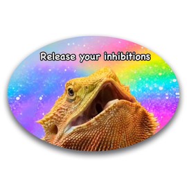 Magnet Me Up WHOSAGOODLIZARD Funny Lizard Magnet Decal - 4x6 Oval Bearded Dragon “Release Your Inhibitions” Magnetic Vinyl, Reptile Humor Car Magnet, Souvenir Gifts, Made in USA