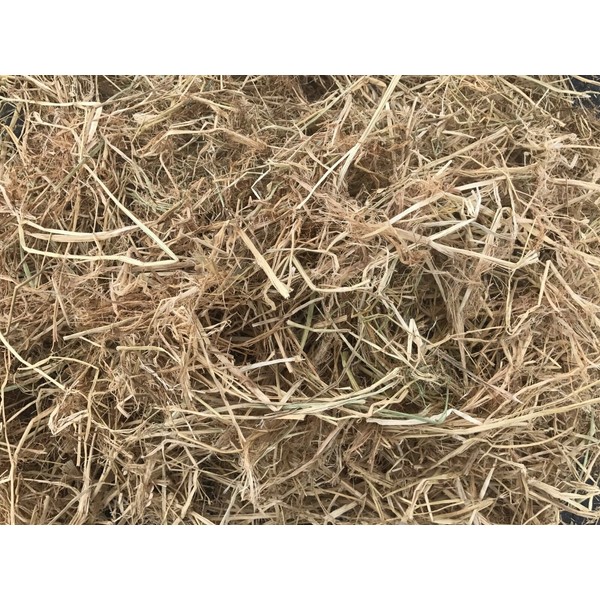Mighty109 Rice Straw Mulch, 42 quarts, Natural Rice Straw Mulch