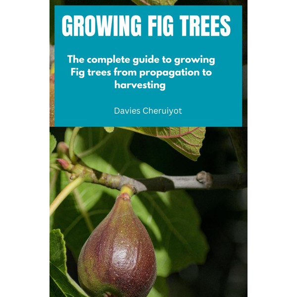 GROWING FIG TREES: The complete guide to growing Fig trees