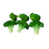 Gucra Vegetables Model Broccoli 6 Pack Food Sample
