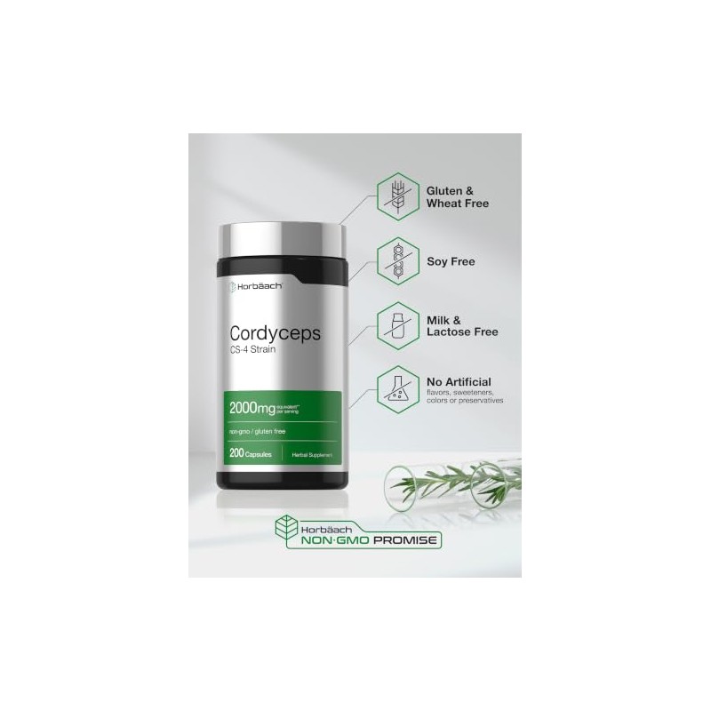 Horbäach | Cordyceps 2000 mg | 200 Cápsulas | Suplemento