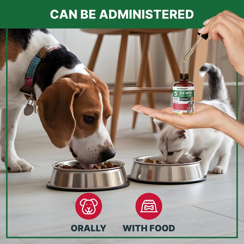 MaxBuddy Natural Intestinal Defense Herbal Cleanser for Cats and Dogs