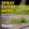 Spruce Weed Killer Refill - Versatile Weed & Grass Killer₃