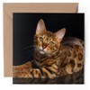 1 x Greeting Card - Spotted Bengal Cat Kitten Cute