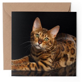 1 x Greeting Card - Spotted Bengal Cat Kitten Cute - Blank Birthday Celebration Anniversary #52115
