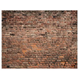 AIIKES 7x5FT Brick Wall Photography Backdrop Red Brick Ancient Theme Stone Brick Design Photography Backdrop Baby Birthday Party Decoration Photo Booth Studio Prop 12-072