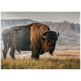 MyPuzzle American Bison in South Dakota - Premium 1000 Piece Jigsaw Puzzle for Adults