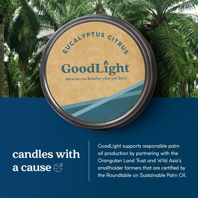 GOODLIGHT Eucalyptus Travel Candle, 1 EA