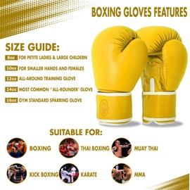 Lions Boxing Gloves - Premium Quality Leather, Classic Adult Unisex Boxing Gloves Mens, Sparring Muay Thai Pro Training, Kickboxing, Punch Bags Fitness Gym Workout (YELLOW, 6OZ)