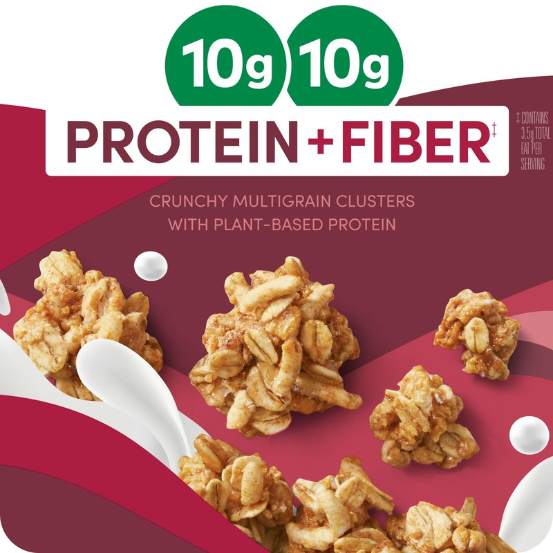 Kashi GO Protein Cereal, 10g Protein, 10g Fiber, Cinnamon Crunch,