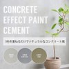 Concrete Effect Paint (Cement Set) (Sarasara Set) 1.8 oz (50