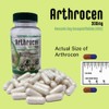 Arthrocen EVO Vegan Joint Health Supplement, 300Mg Avocado Soy Unsaponifiable,