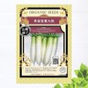 [Specialized Seeds] Daikon Seeds, Blue Shrine Daikon Radish, S Size,