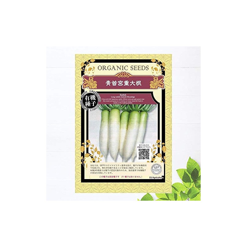 [Specialized Seeds] Daikon Seeds, Blue Shrine Daikon Radish, S Size,