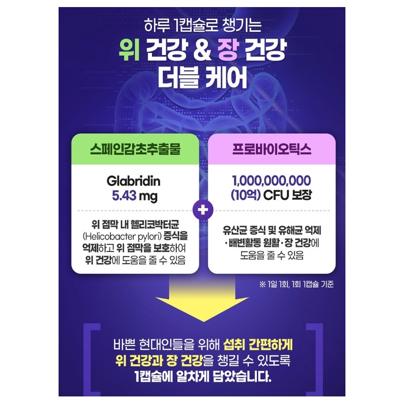 Lactic Acid Bacteria Nutrients Good for the Stomach Stomach Lactic