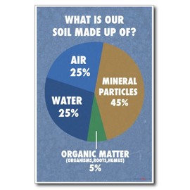 What Is Our Soil Made Of? - NEW Classroom Science Poster