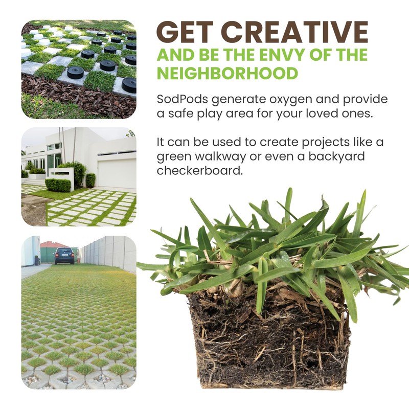 SodPods® St. Augustine Sun/Shade Pack, Floratam & CitraBlue Grass Plugs